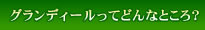 �O�����f�B�[�����Ăǂ�ȂƂ���H